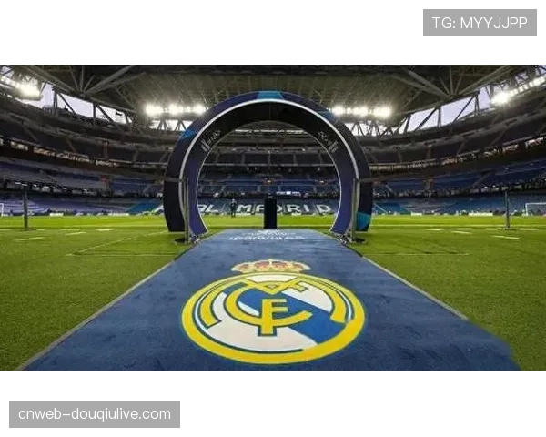 球迷看台tifo展示：覆盖整个南看台的巨型欧冠奖杯图案